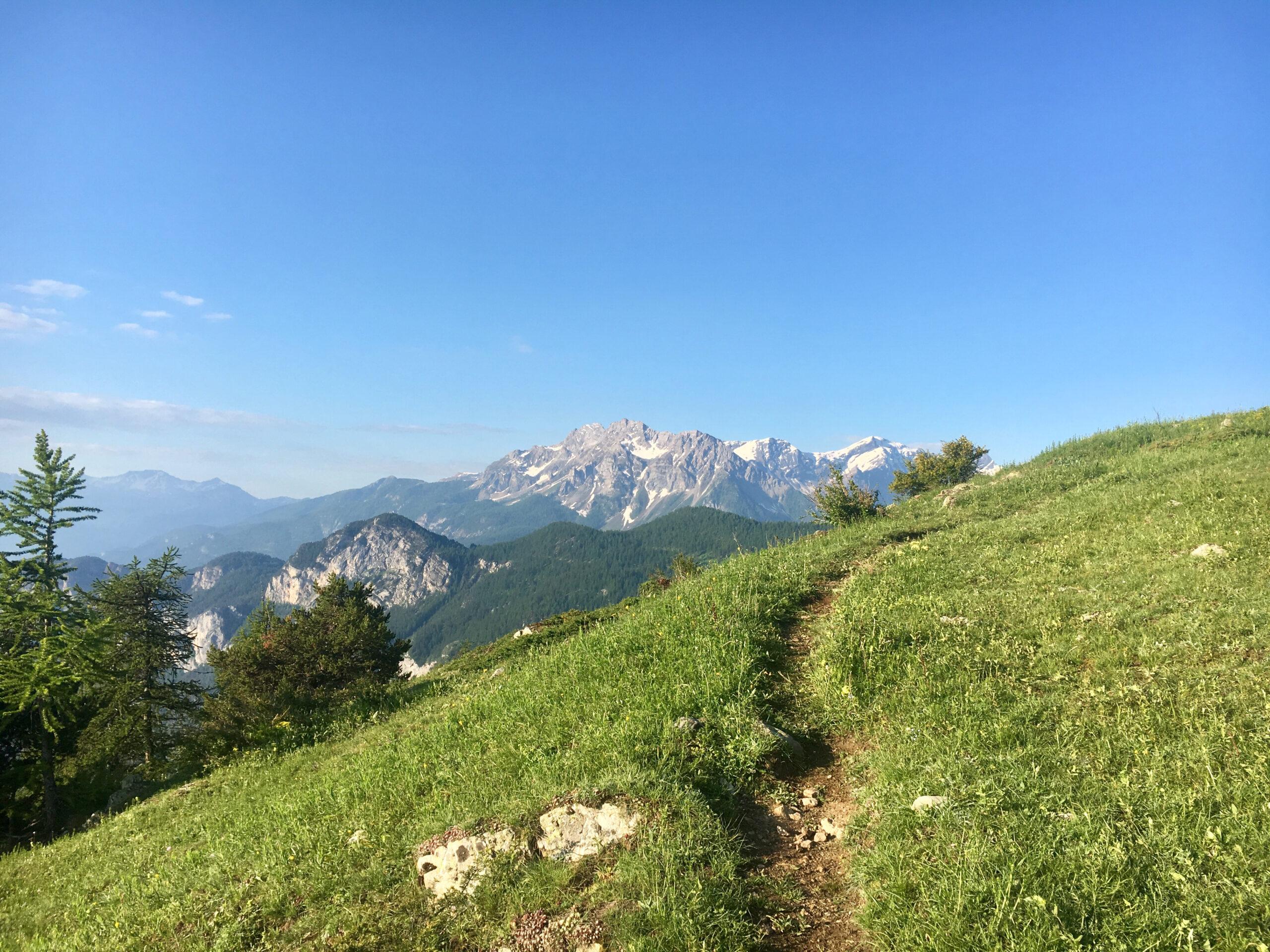 Trail / Ultra Running